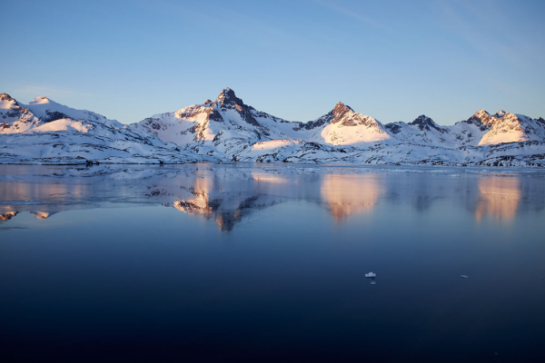 Tasiilaq havblik